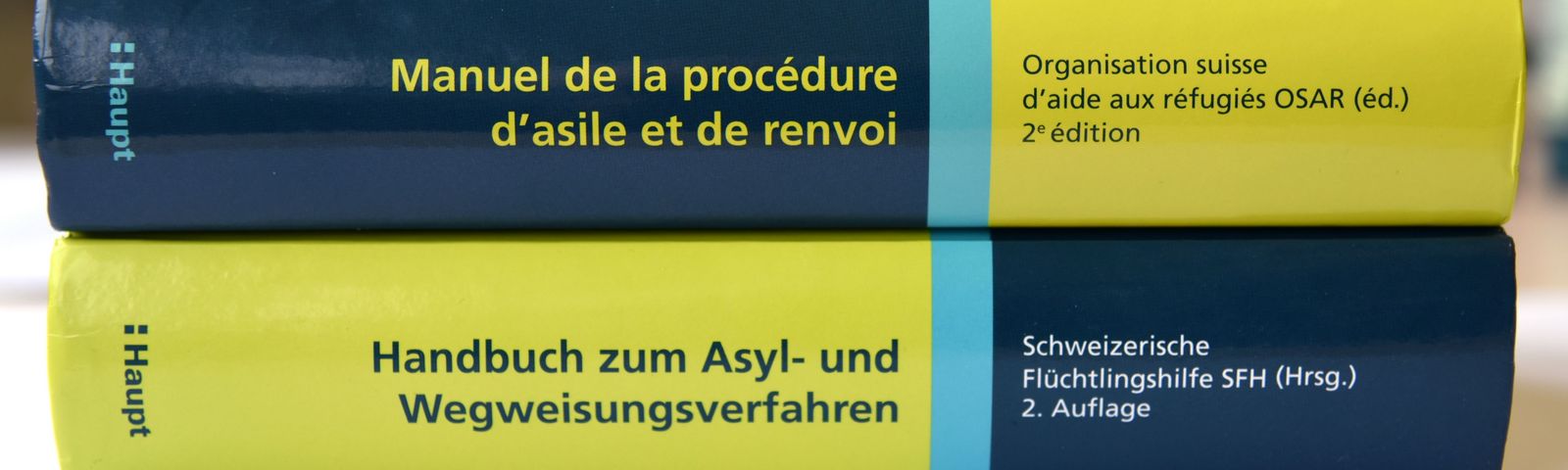 Handbuch zum Asyl- und Wegweisungsverfahren